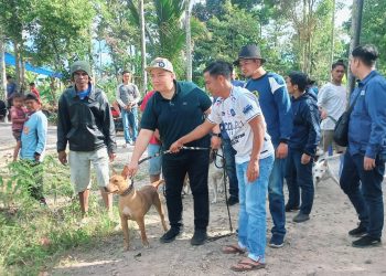 Irwan Afriadi Hadiri ‘Alek Paburuan’ di Nagari Sungai Janiah, Anto: Beliau Calon Pemimpin Untuk Semua Komunitas