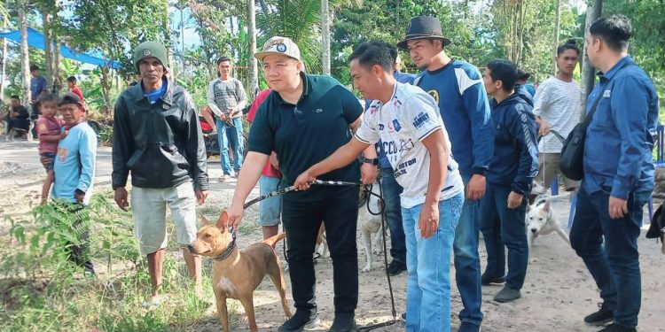 Irwan Afriadi Hadiri ‘Alek Paburuan’ di Nagari Sungai Janiah, Anto: Beliau Calon Pemimpin Untuk Semua Komunitas