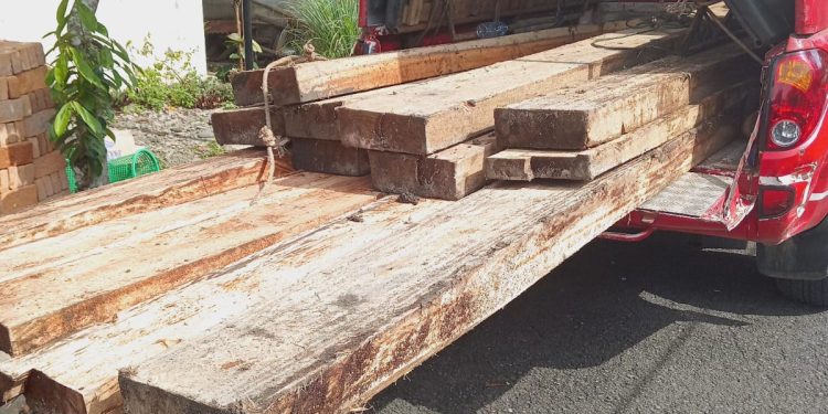 BKSDA Resort Pasaman Amakan Kayu Ilegal