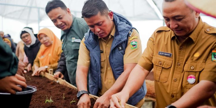 Wabup Solok Sambangi Tempat Pembibitan Tanaman Kentang Berbasis Smart Farming