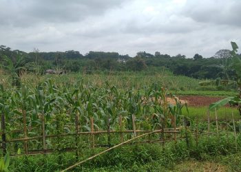 Asosiasi Keluarga Pers Indonesia (AKPERSI) DPD Jawa Barat Lakukan Kunjungan Kerja ke Pemerintah Desa (Pemdes) Jagabita