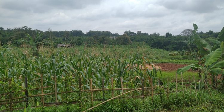 Asosiasi Keluarga Pers Indonesia (AKPERSI) DPD Jawa Barat Lakukan Kunjungan Kerja ke Pemerintah Desa (Pemdes) Jagabita