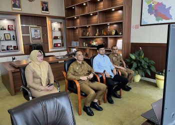 Secara Daring, Mendagri Sampaikan Rencana Jadwal Pelantikan Kepala Daerah