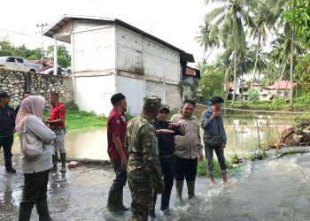 Bupati dan Wakil Bupati Solok Lakukan Penanaman Perdana Program Sawah Pokok Murah di Nagari Koto Baru