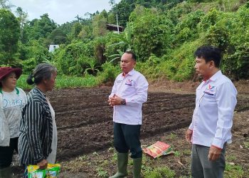 Ketua DPD Partai Perindo Mentawai, James Sibarani Serahkan Bantuan Bibit kepada Kelompok Tani