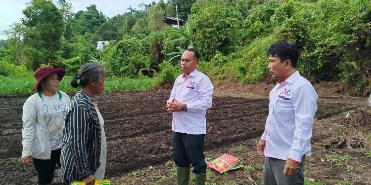 Ketua DPD Partai Perindo Mentawai, James Sibarani Serahkan Bantuan Bibit kepada Kelompok Tani