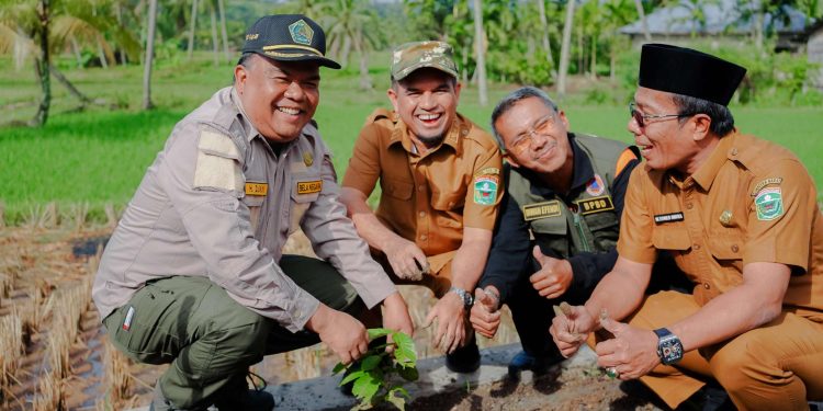 Wabup Solok Apresiasi Program Penanaman Satu Juta Pohon Matoa oleh Kementerian Agama