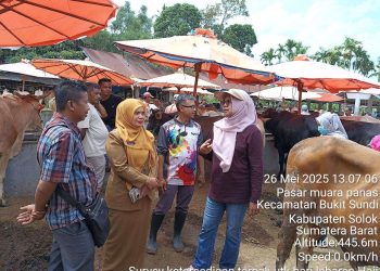 Jelang Iduladha 1446 H, Pemkab Solok Lakukan Pemeriksaan Kesehatan Hewan Kurban