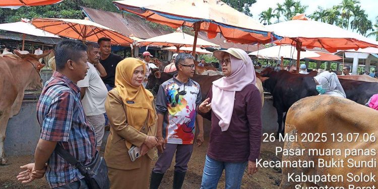 Jelang Iduladha 1446 H, Pemkab Solok Lakukan Pemeriksaan Kesehatan Hewan Kurban