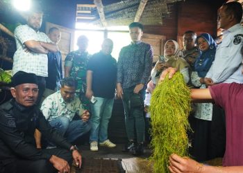 Bupati Limapuluh Kota Gaet Investor Malaysia, Pastikan Produk Pertanian Punya Pasar Global