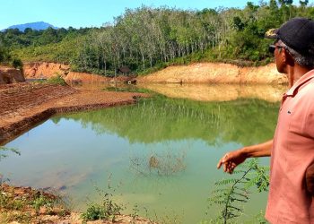 Embung Batang Bingung Diduga Gagal Konstruksi, Ratusan Hektar Sawah Warga Kota Solok Terancam Kekeringan