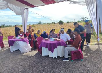 Bupati Solok Ikuti Panen Raya Nasional Jagung Serentak Kuartal II Tahun 2025