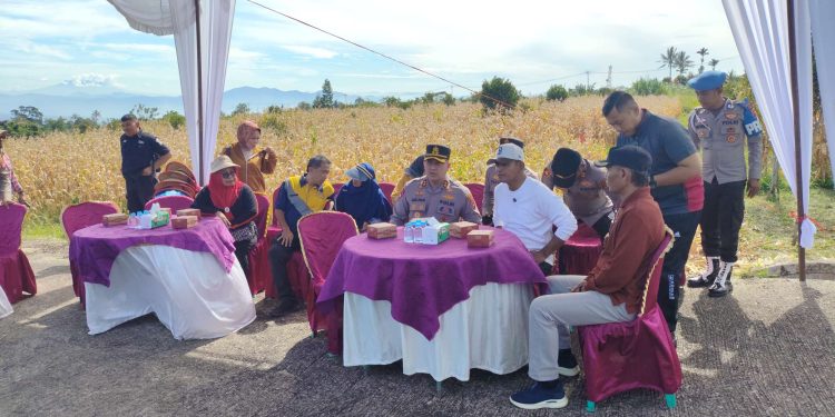 Bupati Solok Ikuti Panen Raya Nasional Jagung Serentak Kuartal II Tahun 2025