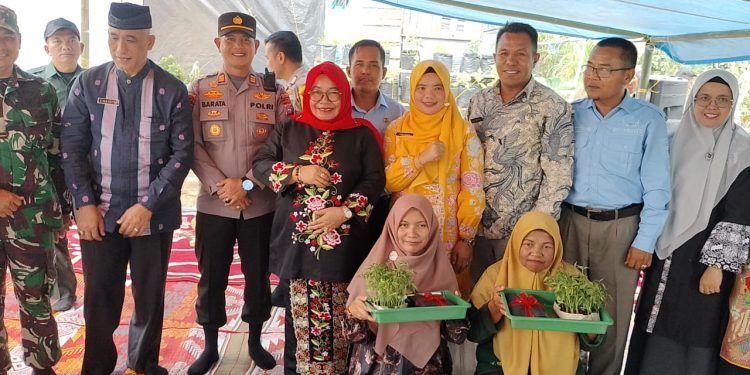 Pemkab Solok Melalui Dinas Perikanan dan Pangan Bekerja Sama dengan  TPID Menggelar Gerakan Menanam Cabai