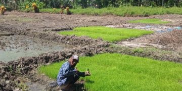 Pemdes Goiso’oinan Salurkan Bantuan Pangan dari Bulog kepada 83 KPM