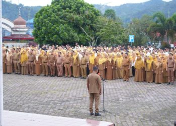 Penataan THL di Pemerintah Kabupaten Solok Sudah Sejalan dengan Pemerintah Pusat