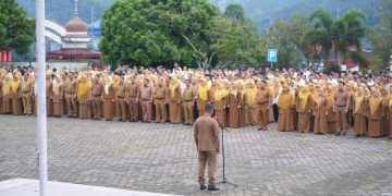 Penataan THL di Pemerintah Kabupaten Solok Sudah Sejalan dengan Pemerintah Pusat