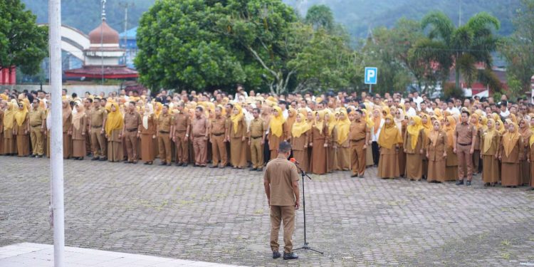 Penataan THL di Pemerintah Kabupaten Solok Sudah Sejalan dengan Pemerintah Pusat