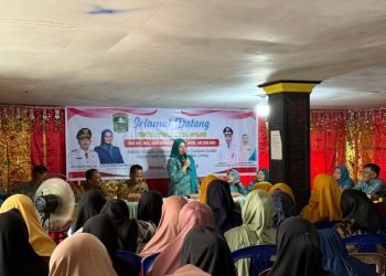 Ketua TP-PKK Kabupaten Solok Hadiri Audiensi Penerima Bantuan Sosial di Nagari Batu Bajanjang, Tigo Lurah