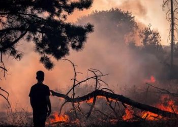Petugas Damkar Korban Kerja Keras, Pelaku Pembakar Liar Harus Ditindak