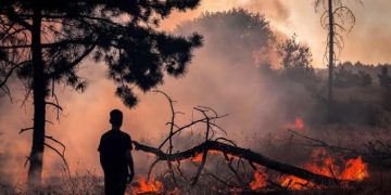 Petugas Damkar Korban Kerja Keras, Pelaku Pembakar Liar Harus Ditindak