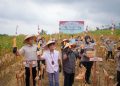 Bupati Solok Hadiri Panen Raya Jagung Serentak Kuartal III di Sukarami