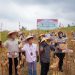 Bupati Solok Hadiri Panen Raya Jagung Serentak Kuartal III di Sukarami