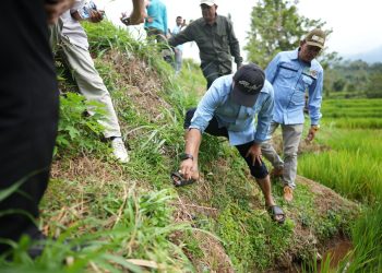 Demonstrasi Pemakaian Obat Pembasmi Hama Tikus di Nagari Talang