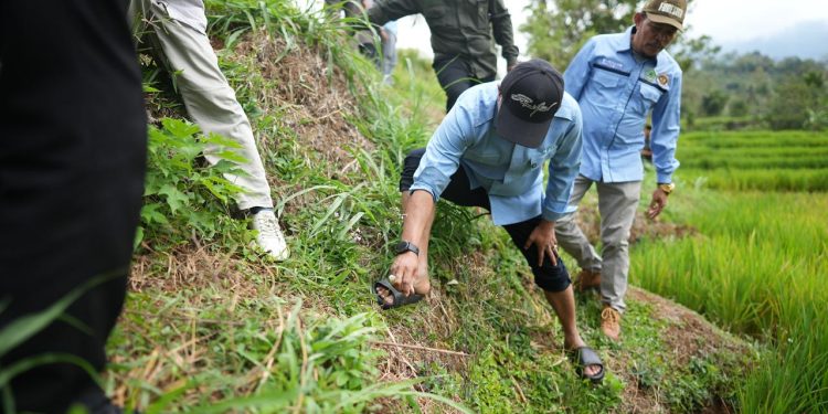 Demonstrasi Pemakaian Obat Pembasmi Hama Tikus di Nagari Talang