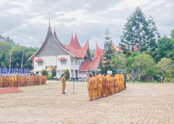 Pimpin Apel Pagi, Sekda Medison Ingatkan Kedisiplinan dan Konsistensi dalam Melayani Masyarakat