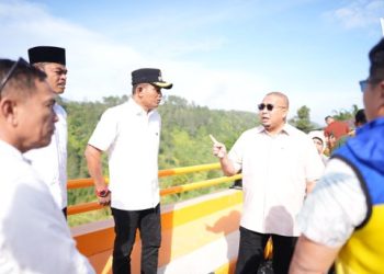 Bupati Solok Bersama Andre Rosiade Kunjungi Pembangunan Jembatan Penghubung dan Ruas Jalan Nasional Alahan Panjang–Surian