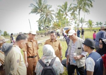 Pemkab Solok Gelar Gerakan Pengendalian Hama Tikus di Nagari Talang