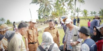 Pemkab Solok Gelar Gerakan Pengendalian Hama Tikus di Nagari Talang