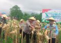 Panen Raya Jagung Serentak Kuartal I 2026 di Kota Solok, Kapolda Sumbar Minta Peran PPL Pertanian Lebih Maksimal