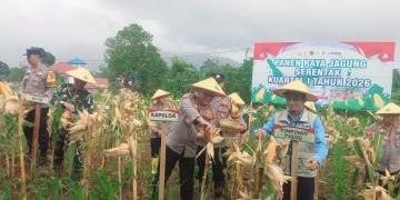 Panen Raya Jagung Serentak Kuartal I 2026 di Kota Solok, Kapolda Sumbar Minta Peran PPL Pertanian Lebih Maksimal