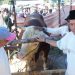 Pemko Payakumbuh Laksanakan Penyembelihan Hewan Kurban Bantuan Kemasyarakatan (Banmas) Presiden Republik Indonesia