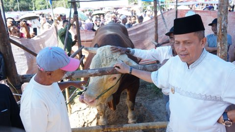 Pemko Payakumbuh Laksanakan Penyembelihan Hewan Kurban Bantuan Kemasyarakatan (Banmas) Presiden Republik Indonesia