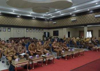 Pemerintah Kota Payakumbuh Memperkuat Penerapan Sistem Informasi Kearsipan Dinamis Terintegrasi (SRIKANDI)