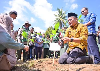 Pemerintah Kota Payakumbuh Memulai Gerakan Tanam Pisang Serentak