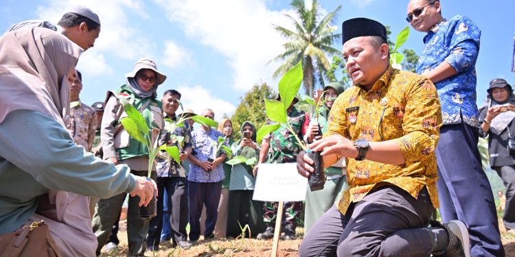 Pemerintah Kota Payakumbuh Memulai Gerakan Tanam Pisang Serentak