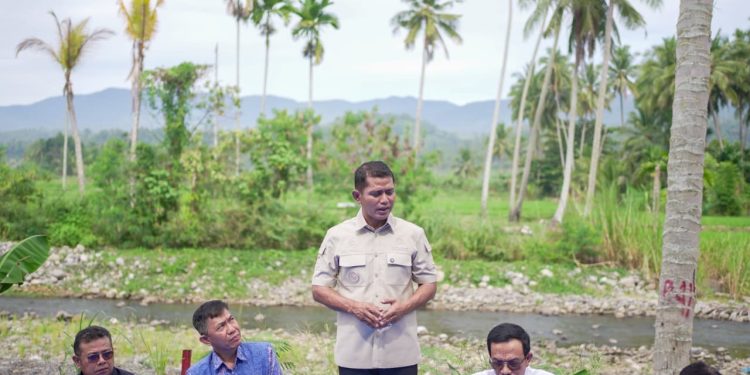 Jon Firman Pandu Dorong Rp 54,78 Miliar untuk Bangkitkan Pertanian Kabupaten Solok Pascabencana