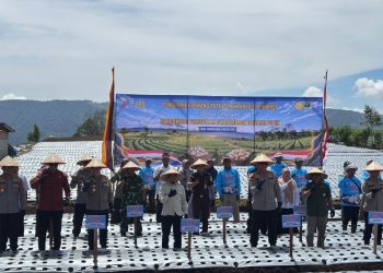 Penanaman Bawang Putih Serentak Nasional Digelar di Kabupaten Solok