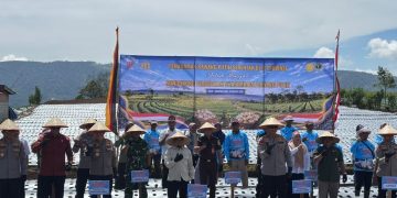 Penanaman Bawang Putih Serentak Nasional Digelar di Kabupaten Solok