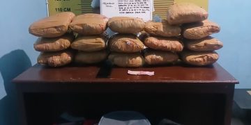 Sat Resnarkoba Polres Pasaman Kembali Tangkap Kurir, Amankan 16 Paket Besar Ganja