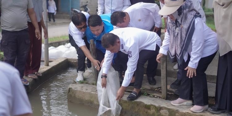 Bupati Solok Salurkan Bantuan Bibit Ikan  kepada Masyarakat Nagari Koto Sani