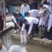 Bupati Solok Salurkan Bantuan Bibit Ikan  kepada Masyarakat Nagari Koto Sani