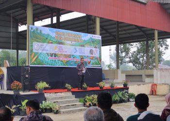 Pemerintah Kota Payakumbuh Menyalurkan Bantuan Sektor Pertanian dengan Total Nilai Mencapai Rp 12,9 Miliar